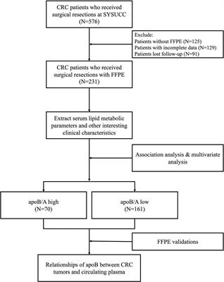 The apolipoprotein B and apolipoprotein A-I Ratio serves as a strong prognostic factor for the overall survival of patients with colorectal cancer